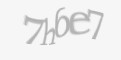 Защитный код