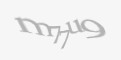 Защитный код